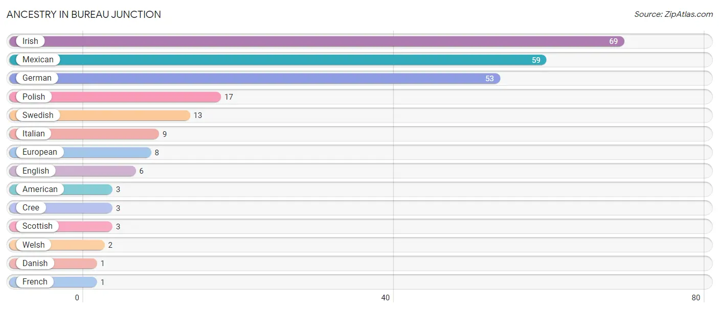 Ancestry in Bureau Junction