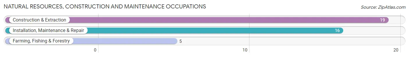 Natural Resources, Construction and Maintenance Occupations in Burlington
