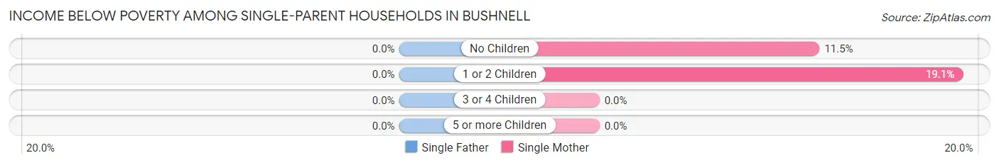 Income Below Poverty Among Single-Parent Households in Bushnell