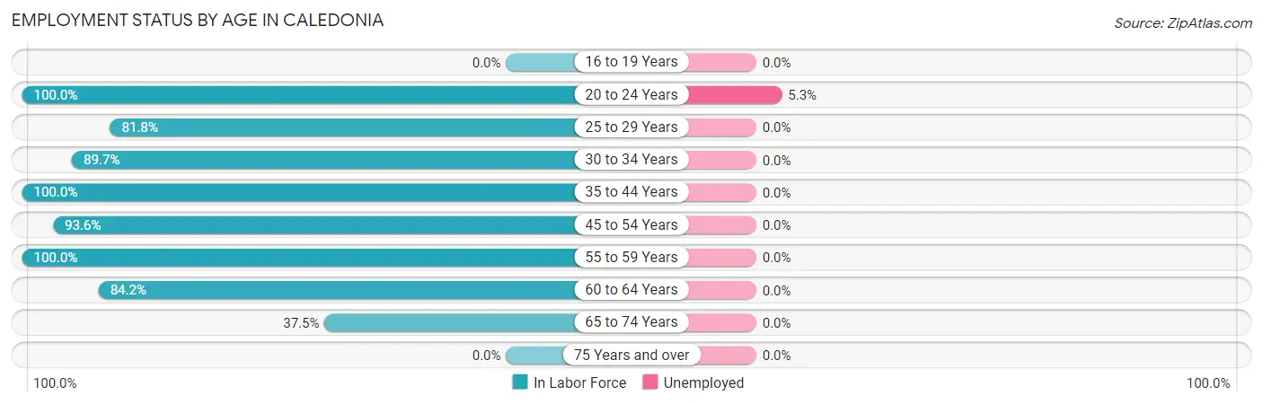 Employment Status by Age in Caledonia