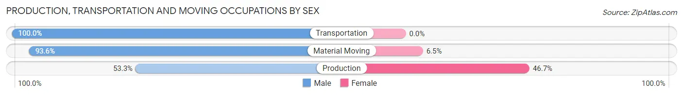 Production, Transportation and Moving Occupations by Sex in Camargo