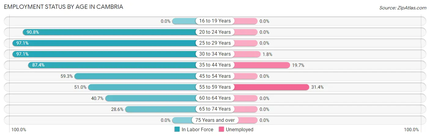 Employment Status by Age in Cambria