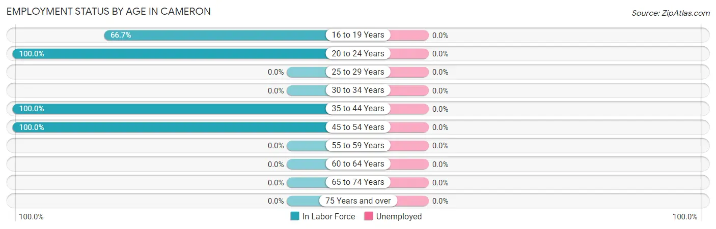 Employment Status by Age in Cameron