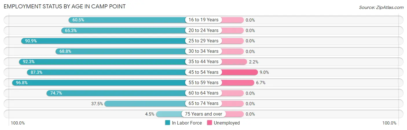 Employment Status by Age in Camp Point