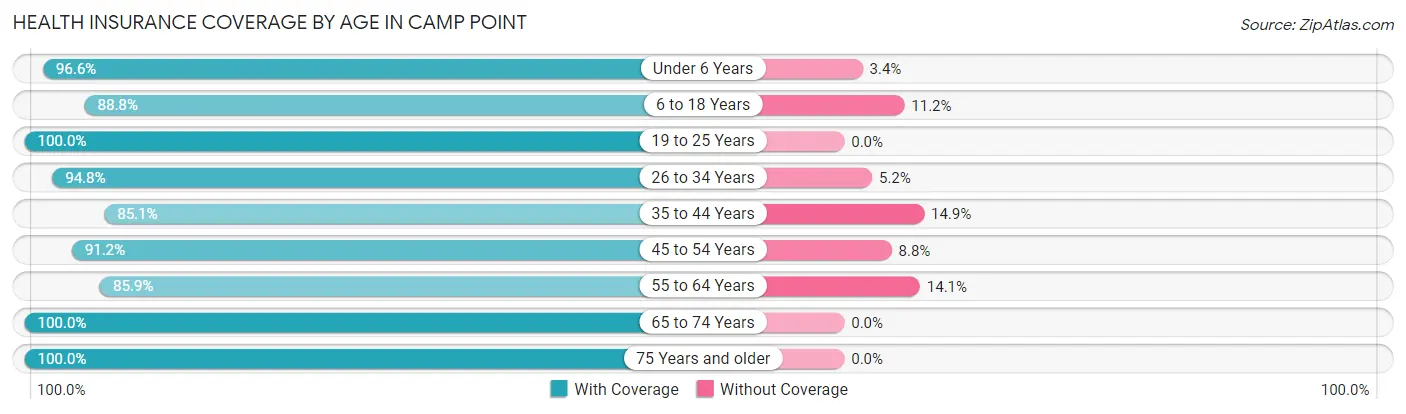 Health Insurance Coverage by Age in Camp Point