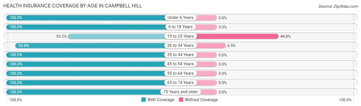 Health Insurance Coverage by Age in Campbell Hill