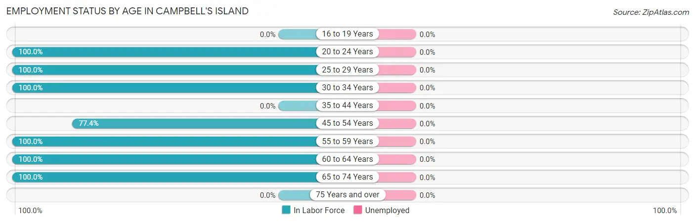Employment Status by Age in Campbell's Island