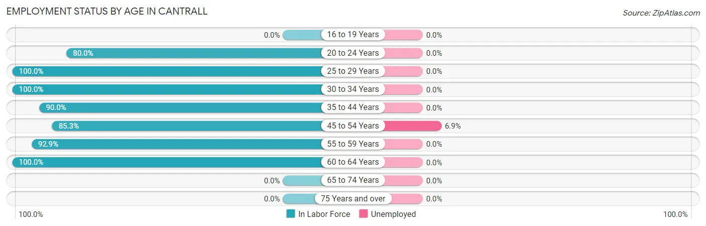 Employment Status by Age in Cantrall