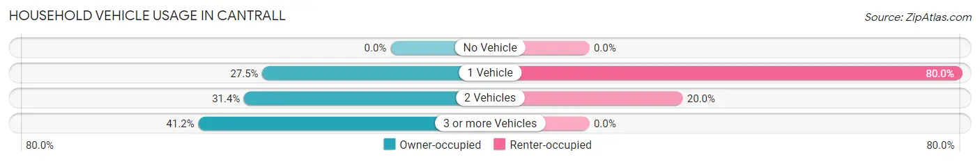 Household Vehicle Usage in Cantrall