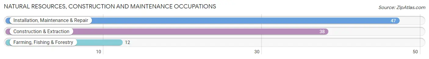 Natural Resources, Construction and Maintenance Occupations in Carlinville