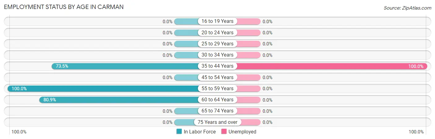 Employment Status by Age in Carman