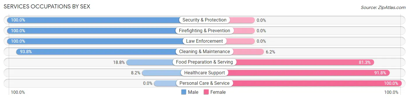 Services Occupations by Sex in Carmi
