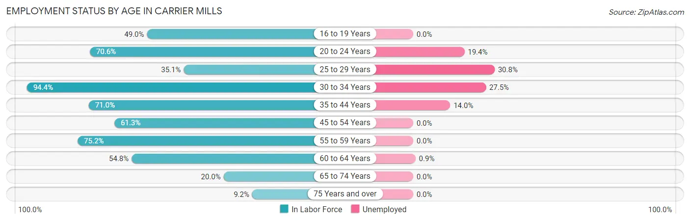 Employment Status by Age in Carrier Mills