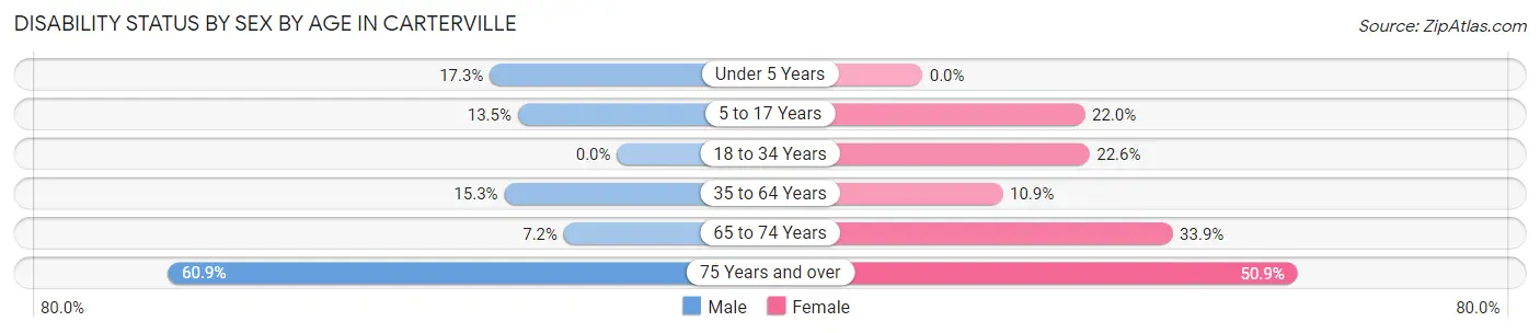 Disability Status by Sex by Age in Carterville