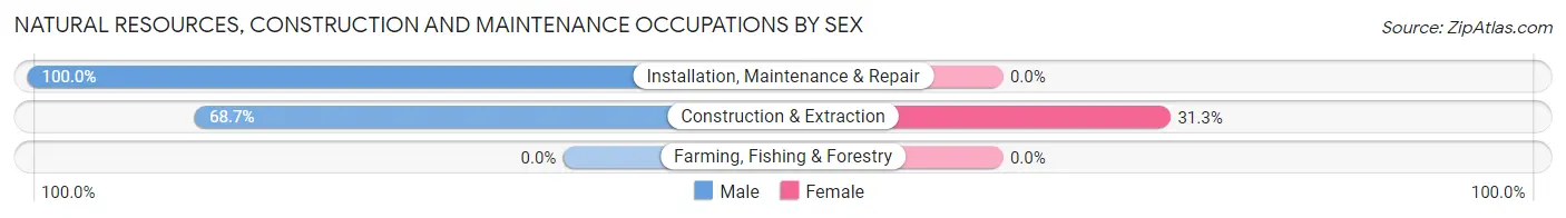 Natural Resources, Construction and Maintenance Occupations by Sex in Carterville