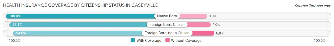 Health Insurance Coverage by Citizenship Status in Caseyville