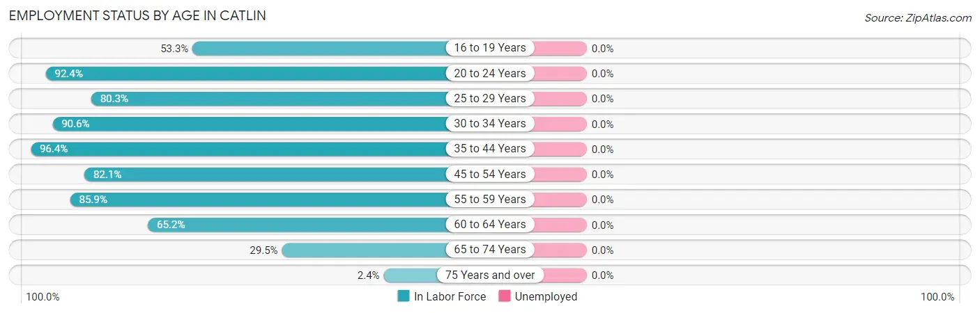 Employment Status by Age in Catlin