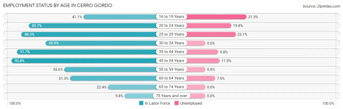 Employment Status by Age in Cerro Gordo