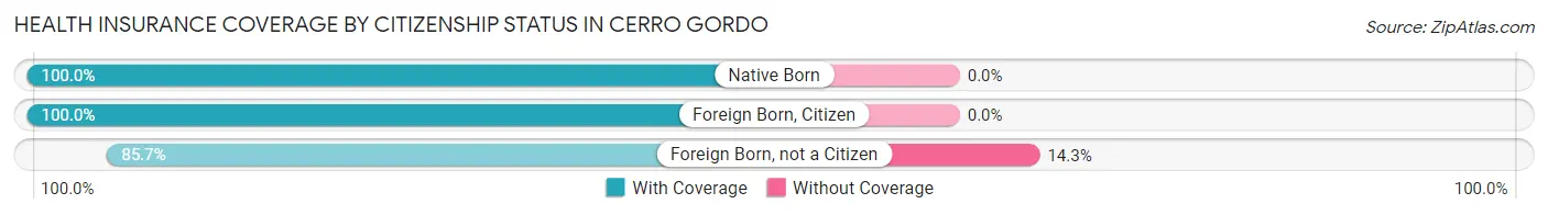 Health Insurance Coverage by Citizenship Status in Cerro Gordo