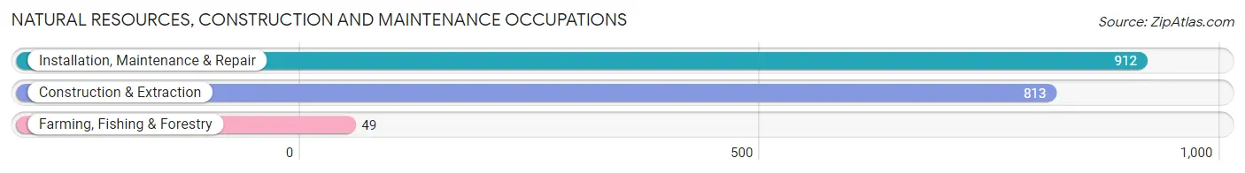 Natural Resources, Construction and Maintenance Occupations in Champaign