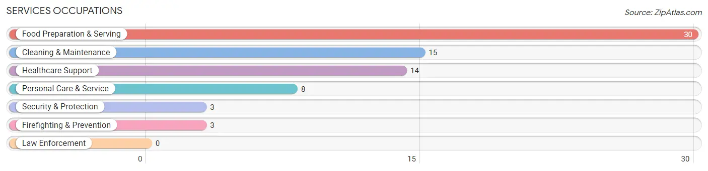 Services Occupations in Chandlerville