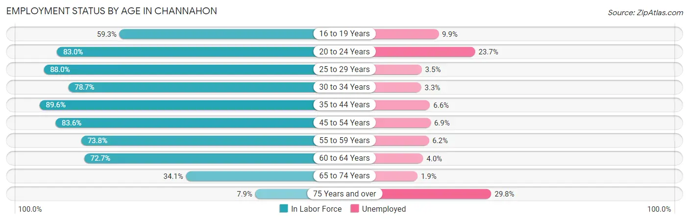 Employment Status by Age in Channahon