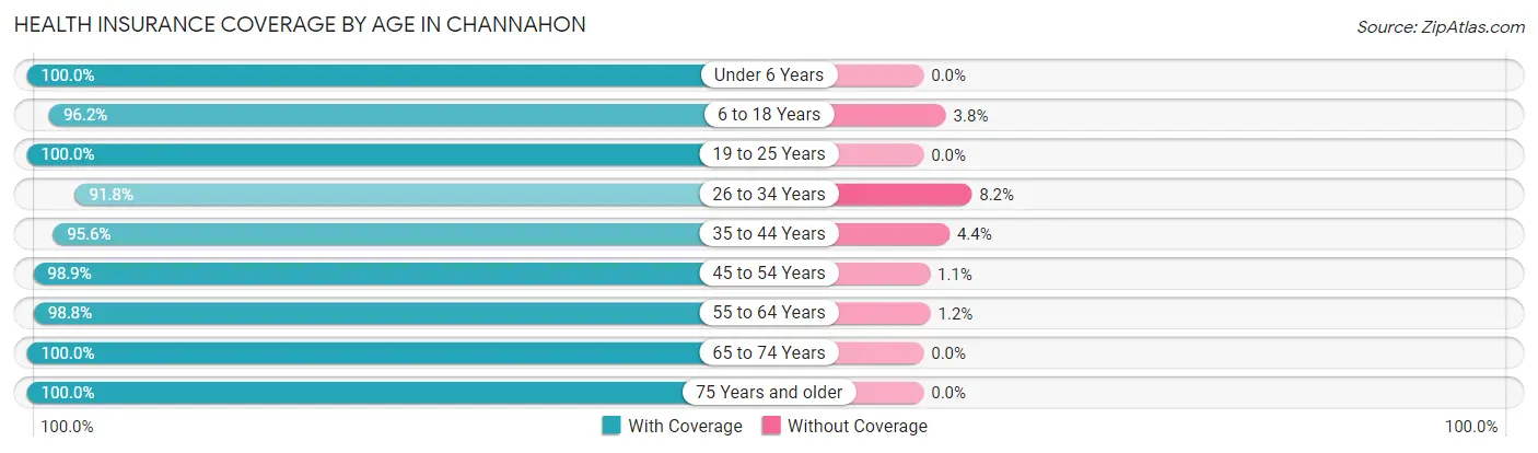 Health Insurance Coverage by Age in Channahon
