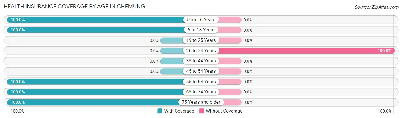 Health Insurance Coverage by Age in Chemung