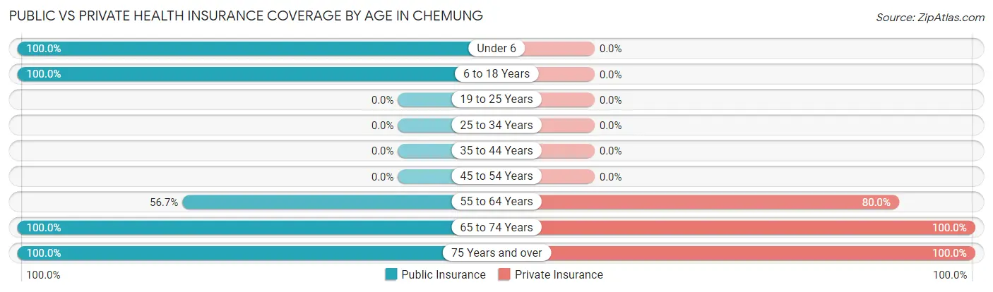 Public vs Private Health Insurance Coverage by Age in Chemung