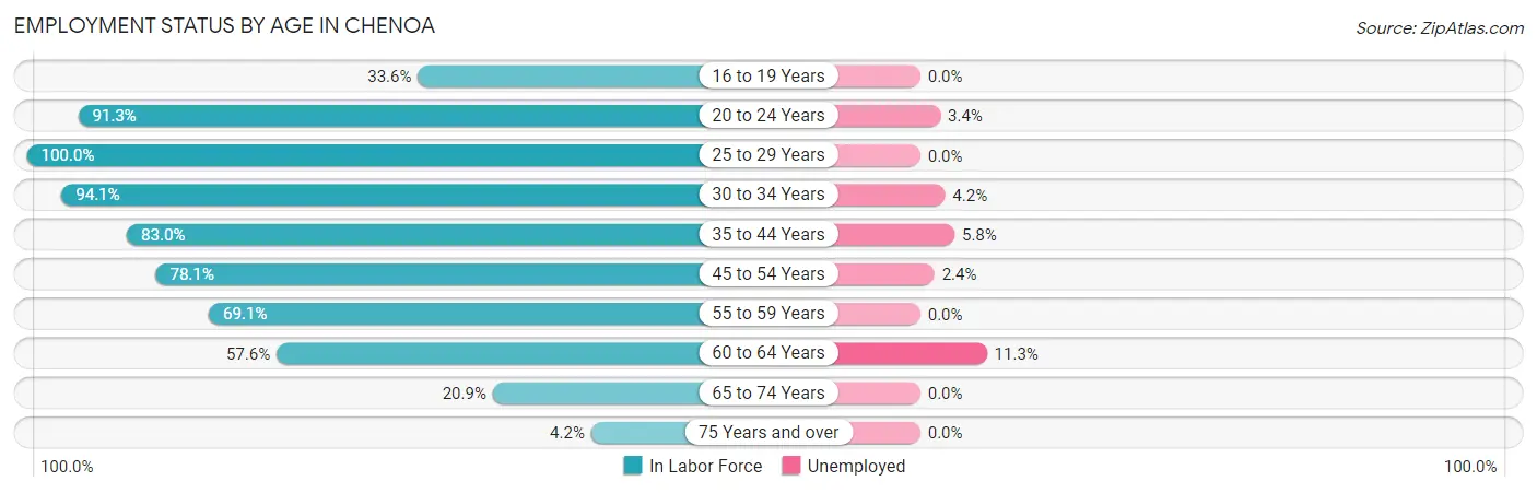 Employment Status by Age in Chenoa
