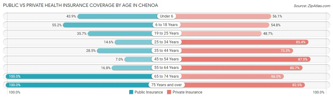 Public vs Private Health Insurance Coverage by Age in Chenoa