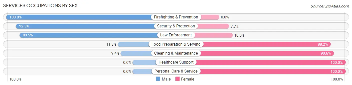 Services Occupations by Sex in Chenoa