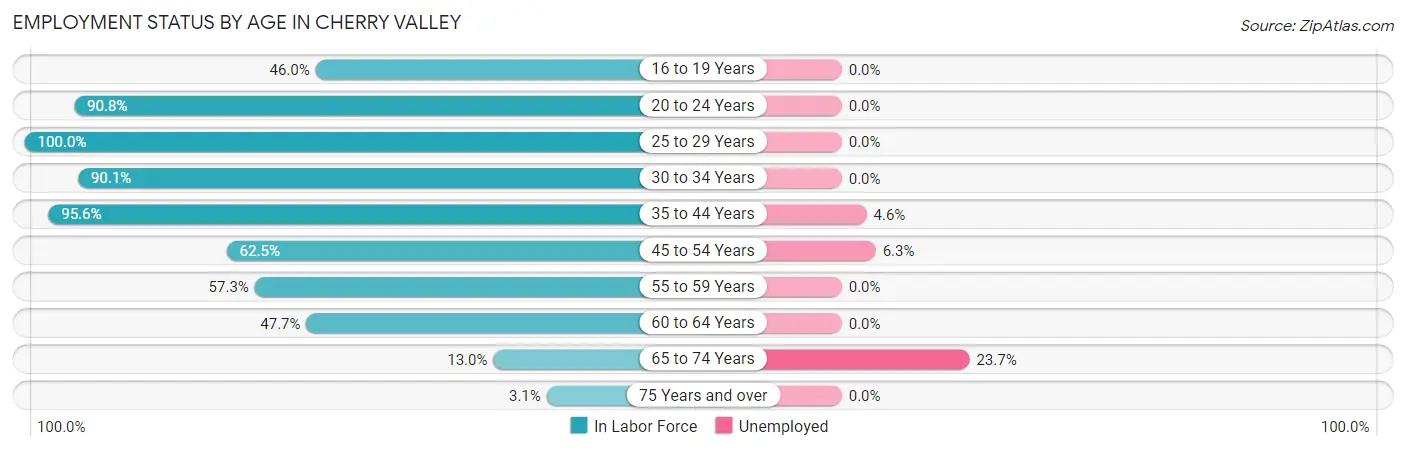 Employment Status by Age in Cherry Valley