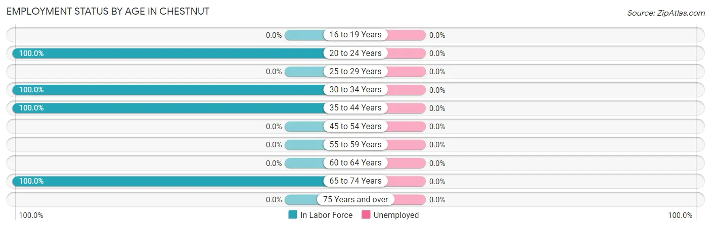 Employment Status by Age in Chestnut