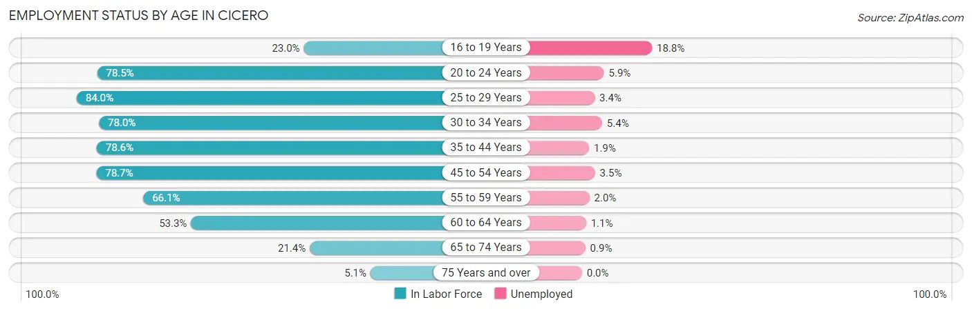 Employment Status by Age in Cicero