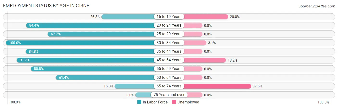Employment Status by Age in Cisne
