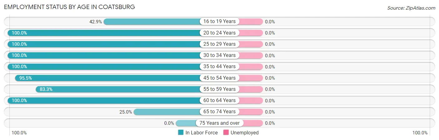 Employment Status by Age in Coatsburg