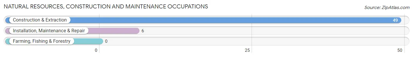 Natural Resources, Construction and Maintenance Occupations in Coffeen