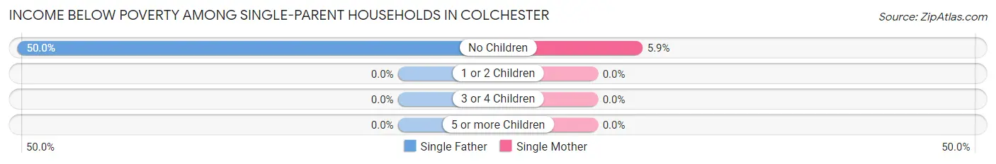 Income Below Poverty Among Single-Parent Households in Colchester