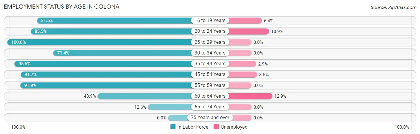 Employment Status by Age in Colona