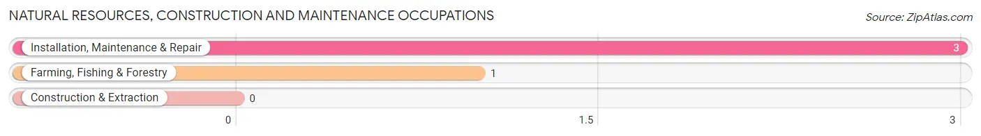 Natural Resources, Construction and Maintenance Occupations in Concord