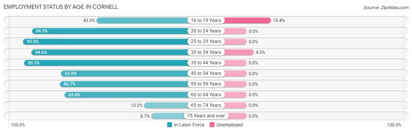 Employment Status by Age in Cornell