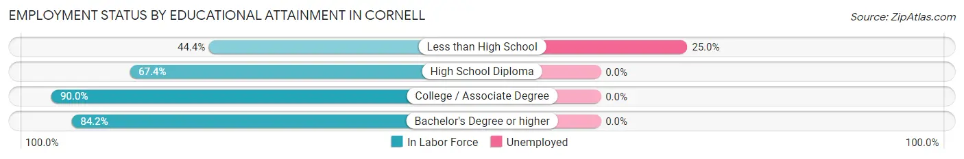 Employment Status by Educational Attainment in Cornell
