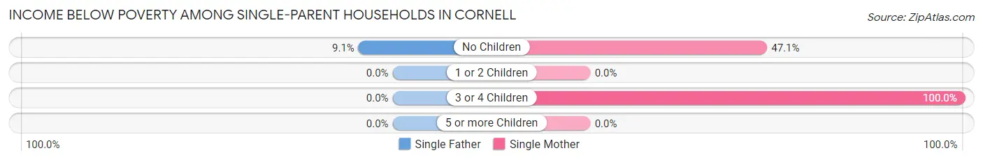 Income Below Poverty Among Single-Parent Households in Cornell
