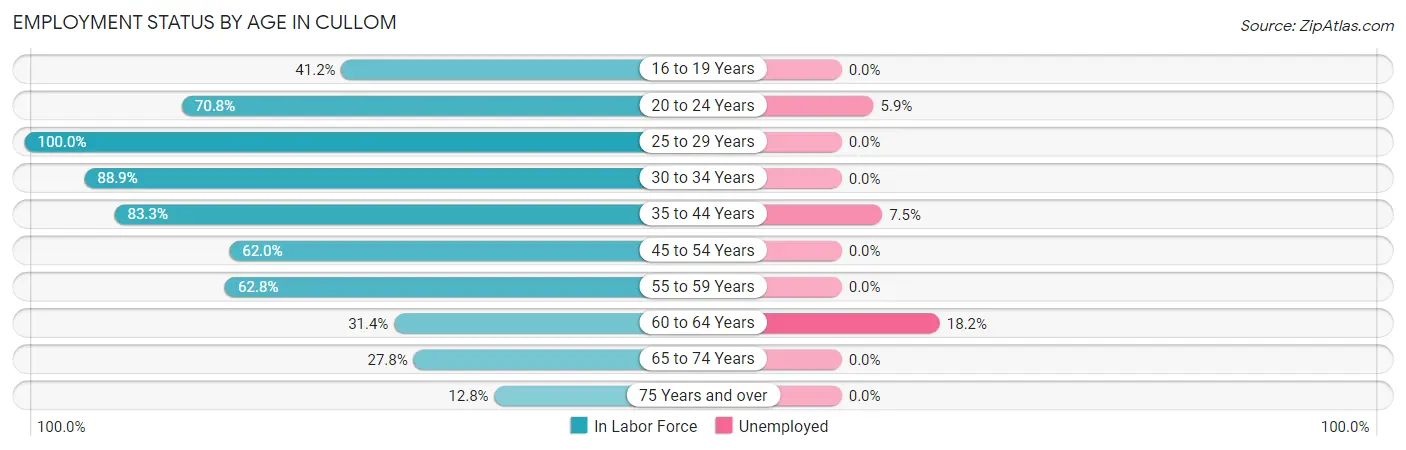 Employment Status by Age in Cullom
