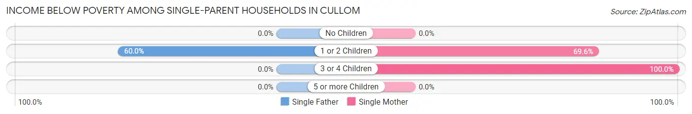 Income Below Poverty Among Single-Parent Households in Cullom