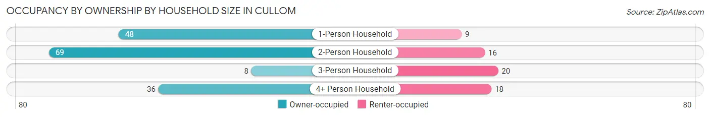 Occupancy by Ownership by Household Size in Cullom