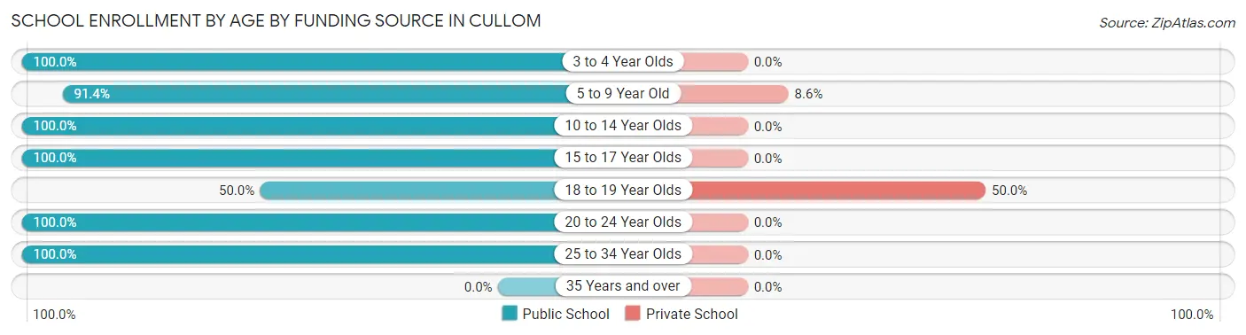 School Enrollment by Age by Funding Source in Cullom