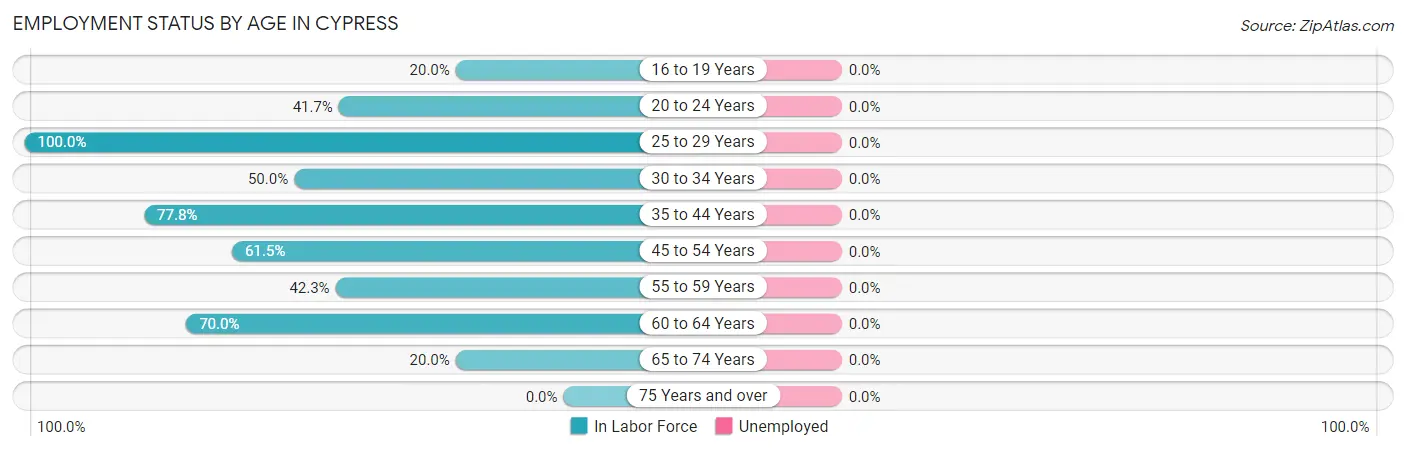 Employment Status by Age in Cypress