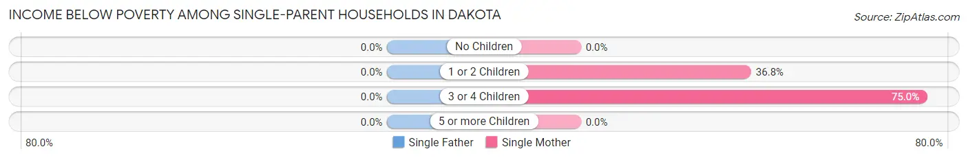 Income Below Poverty Among Single-Parent Households in Dakota